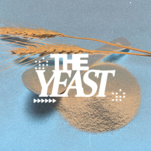 The Yeast