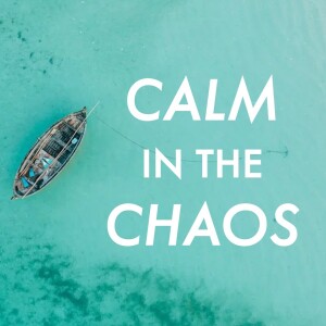 Calm in the Chaos