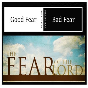 Good Fear, Bad Fear
