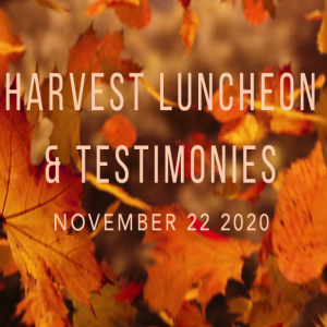 Testimonies and Harvest Luncheon - 11-22-2020
