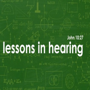 John Scholtz - Lessons in Hearing