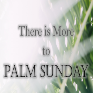 There is more to Palm Sunday
