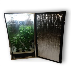 Ground Rules to Make the Hydroponic System Work Smooth