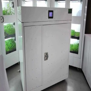 Know How Grow Cabinets Help Plants Giving a Proper Environment