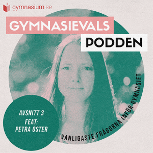 3. Vanligaste frågorna inför gymnasiet