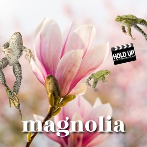 Magnolia