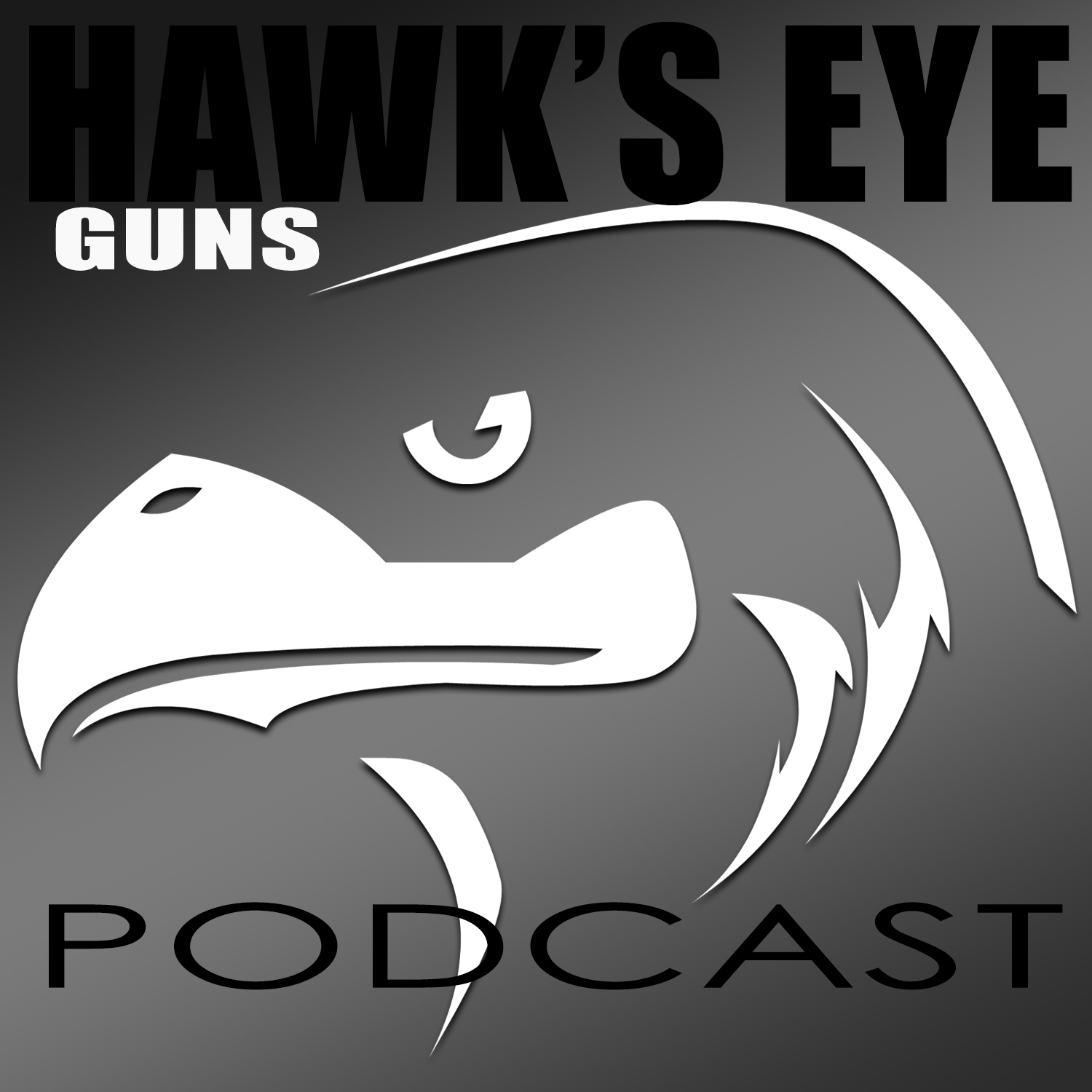 Hawk's Eye Guns Podcast - 001
