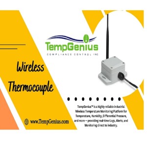 TempGenius Wireless Thermometer: Accurate Temperature Monitoring Made Effortless