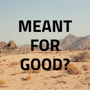 You Mean This for Good, Lord?