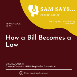 Ep. 53: How a Bill Becomes a Law