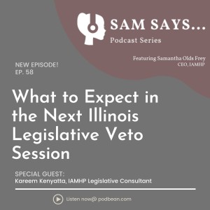 Ep. 58: ICYMI: What to Expect in the Next Illinois Legislative Veto Session