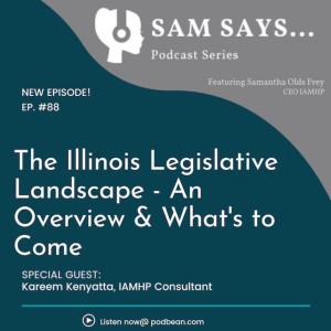 Ep. 88 - The Illinois Legislative Landscape - An Overview & What’s to Come