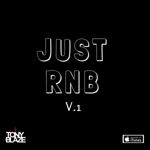 JUST R&B V.1