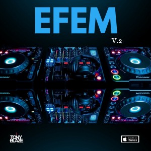 EFEM V.2