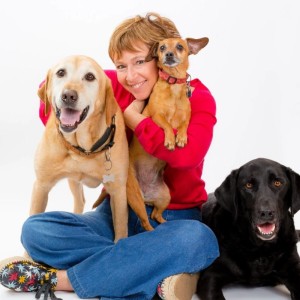 Using Your Intuition to Understand Your Dog with Liz Murdoch