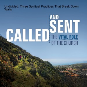 Undivided: Three Spiritual Practices That Break Down Walls