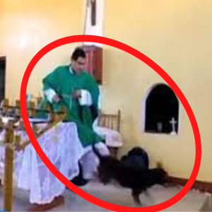 SACERDOTE PATEA A PERRO EN LAS BOLAS