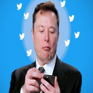 Elon Musk: Comedia es legal en twitter!