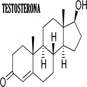 TIPOS DE TESTOSTERONA