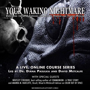 Your Waking Nightmare: Exploring the UFO Through the Lens of Horror and Techno-Realism w/ David Metcalfe