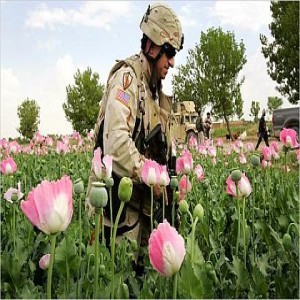 Afghanistan, the U.S. Withdrawal, and  the War on Drugs w/ Inge Fyklund