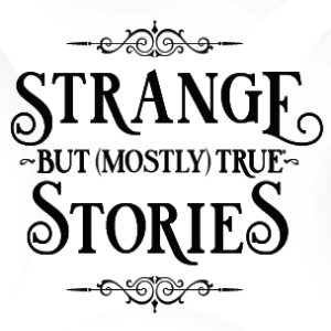 The Historian of the Strange Returns! w/ Robert Damon Schneck