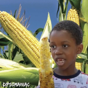 It’s Corn