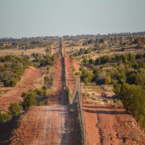 Ep 28 The Dingo Fence: Australian History