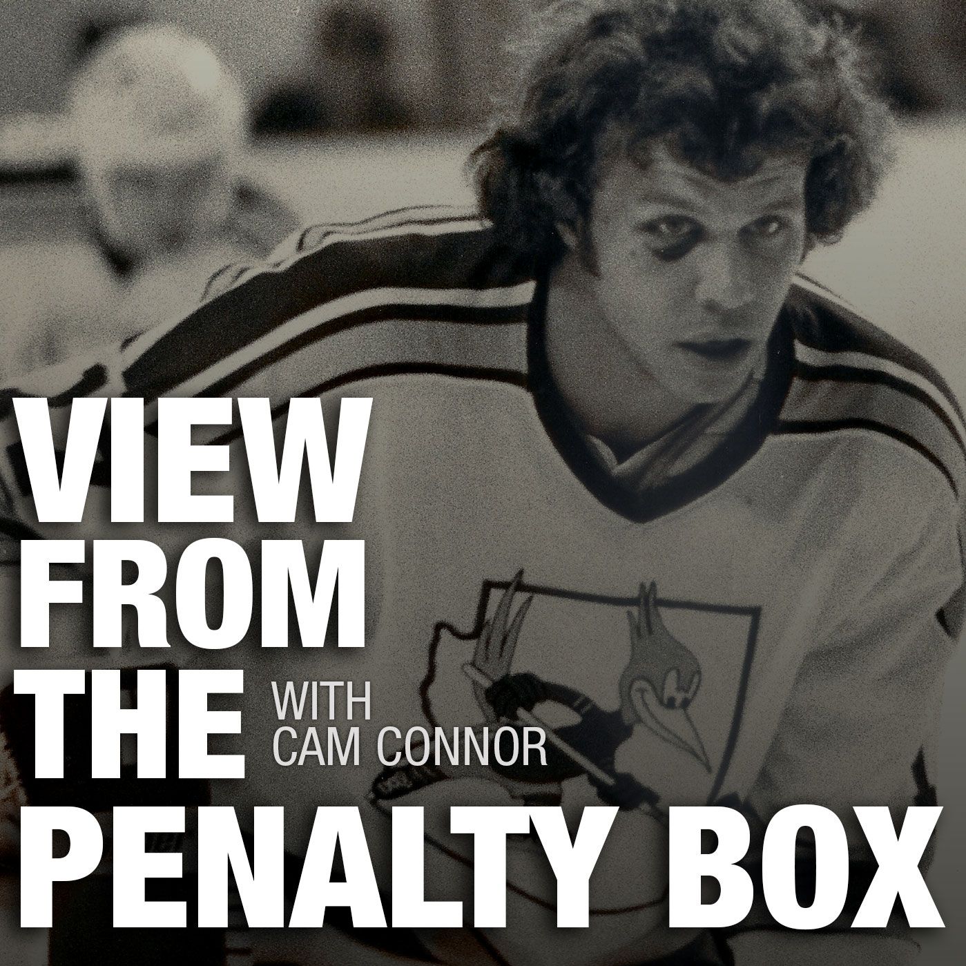 cover of episode VFTPB 19: Why Was Cam Connor Banned from Playing Hockey in Finland and other hockey tales