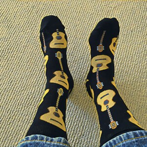 Guitar Socks Rule / Literary Rogues