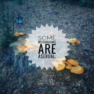 Today’s Forgotten Ones In Identity Politics: Asexuals