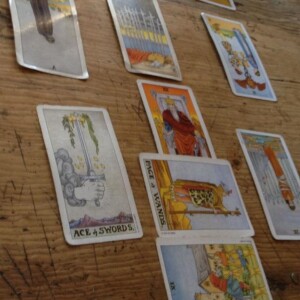 Today’s tarot reading. Aleseosborn.com. Muse missing. Young American Primitive.