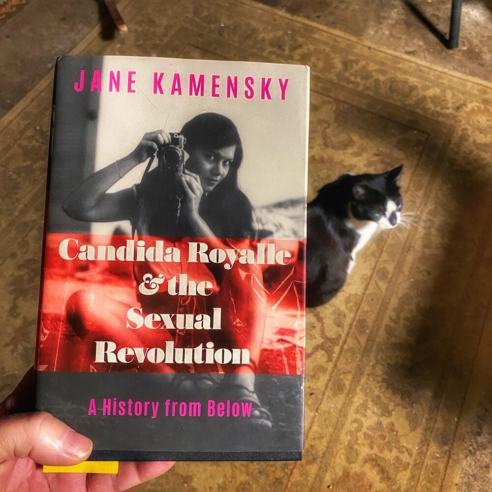 Candida Royalle and the Sexual Revolution ~ A History From Below | Knox  Bronson ~ Riding The Wild Bubble