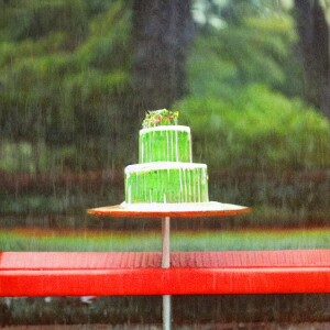 Someone Left The Cake Out In The Rain—Mystery Solved