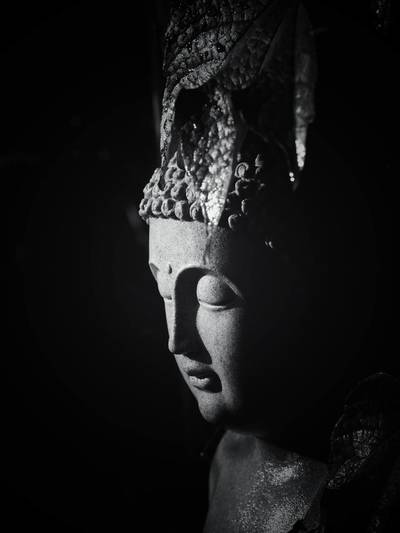 Tibetan Buddhism: The Elegant Mind