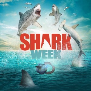 SHARK WEEK