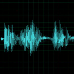 Your Voice Matters