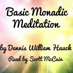 Basic Monadic Meditation