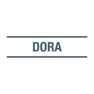 Implications of DORA for technology service providers