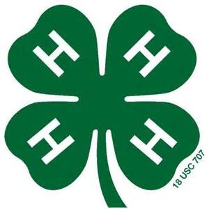 4-H Chocolate Party 2/13
