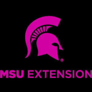 MSU Extension Survey
