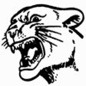 Rich Sullivan: Head Coach Standish-Sterling Softball