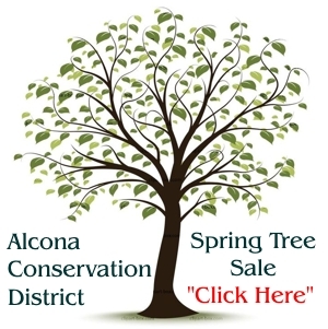 Alcona Conservation District Tree Sale