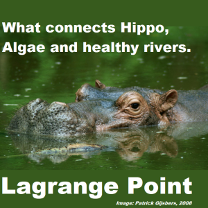 Episode 327 - Hippos and Algae, Lions and Porcupines, plus Narwhals.