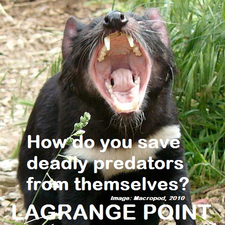 Lagrange Point Episode 171 - Helping Save Deadly Predators From Disease And Invasive Species