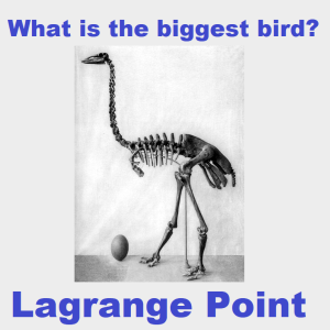 Episode 294 - What is the biggest bird; Island Giants and dwarfs.