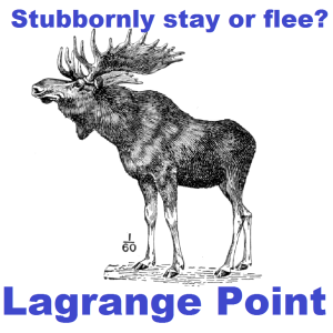 Episode 318 - Stubborn Moose, repulsive smells and Otters with tools