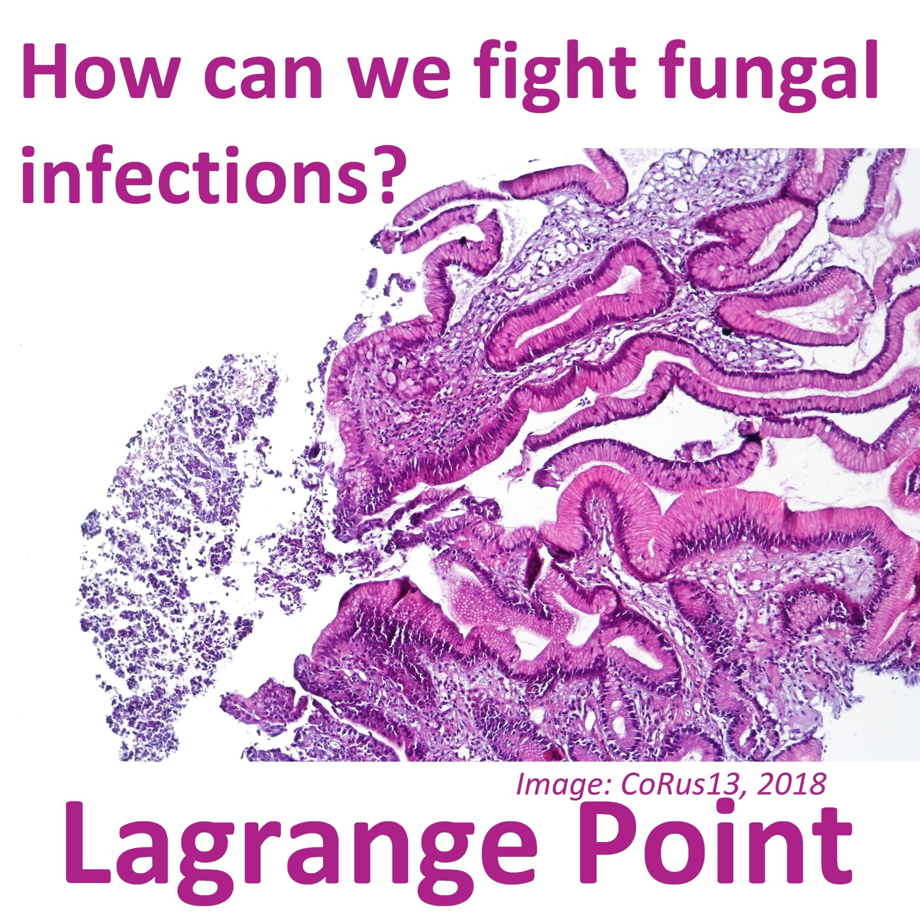 Episode 287 - Fighting back against fungal infections