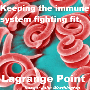 Lagrange Point Episode 323 - Keeping your immune system in fighting shape