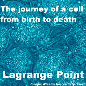  Episode 330 - A cells journey, from birth to death